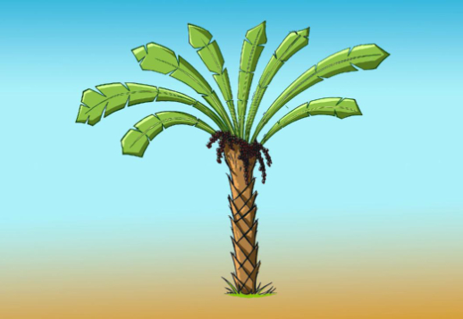 Zeichne eine Dattelpalme! Vorschau