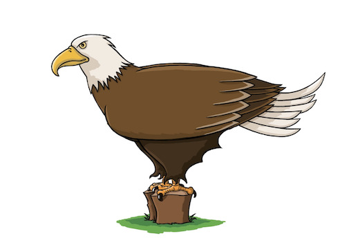 Zeichne einen Adler Vorschau