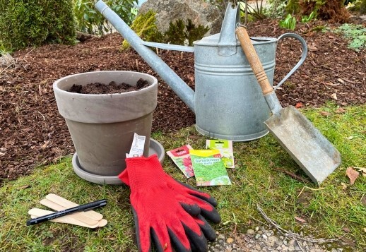 Mitmachprojekt: Wunder aus der Erde Vorschau