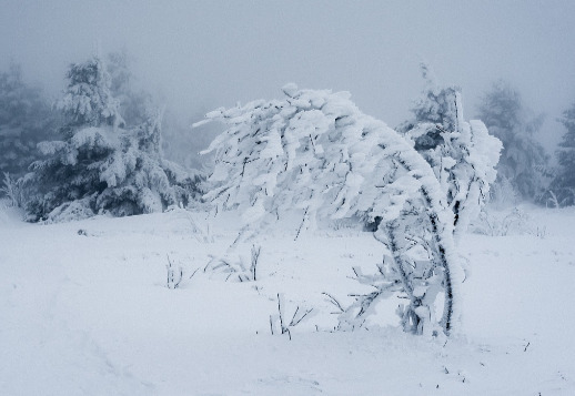 Abenteuer in den Schweizer Bergen 05 Vorschau