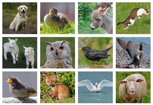 Tierpaare finden: jung und alt Vorschau