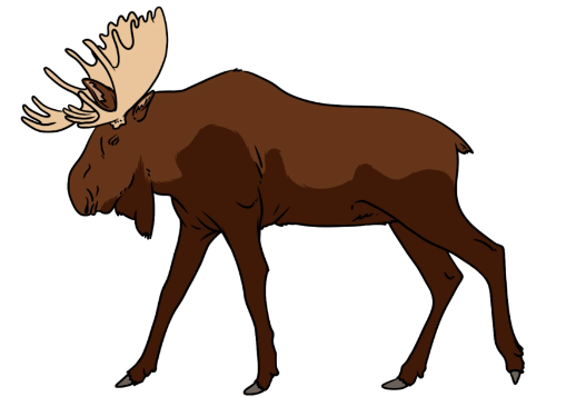 Zeichne einen Elch Vorschau